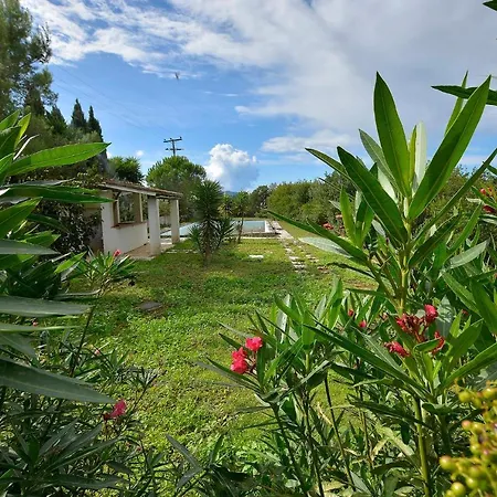 Sun Garden